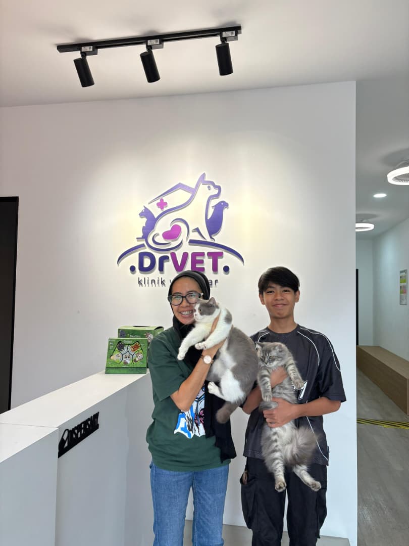 Suasana pelanggan di DrVET