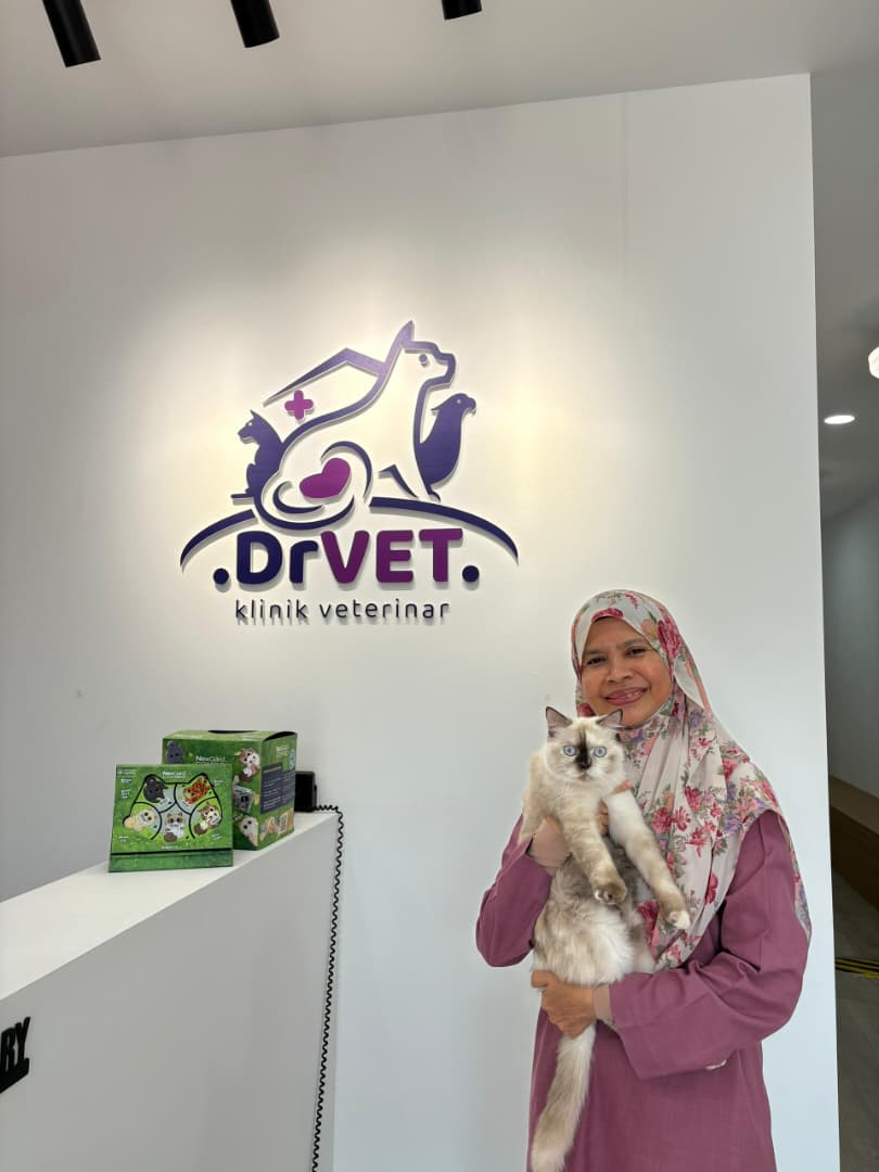 Aktiviti pelanggan di DrVET