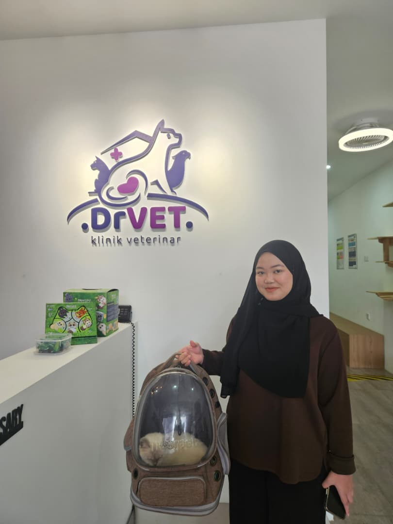 Suasana pelanggan dan haiwan di DrVET